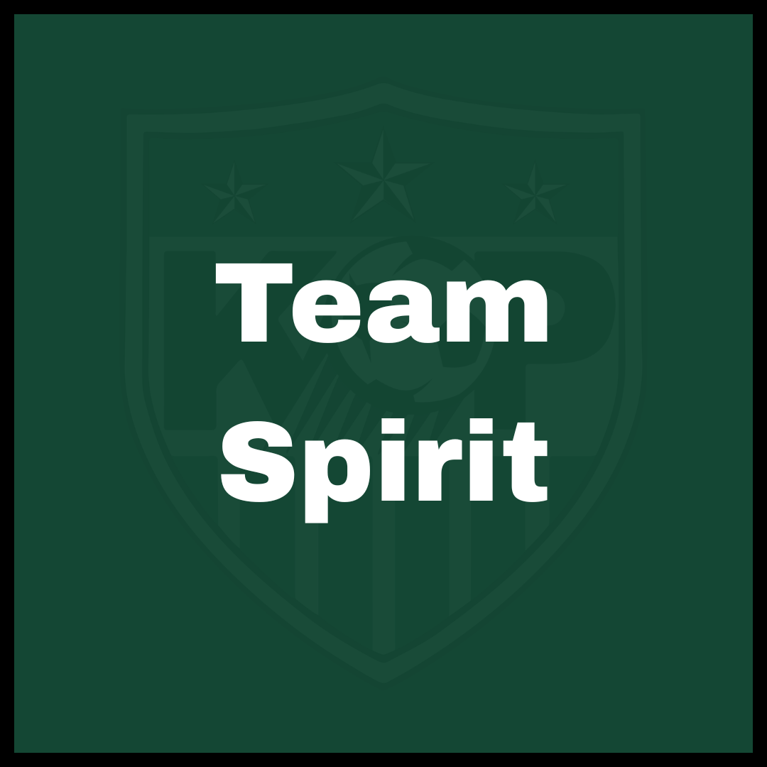 Team Spirit Sponsor