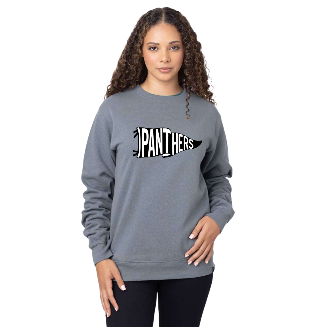 Panthers Pennant Crewneck by econscious