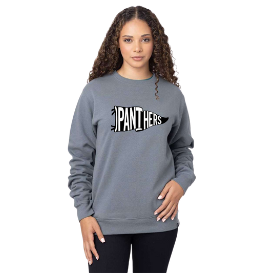 Panthers Pennant Crewneck by econscious